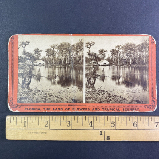 Silver Springs Hotel Lodge Florida Stereoview Ocklawaha River 1870s Y2486 CREASE