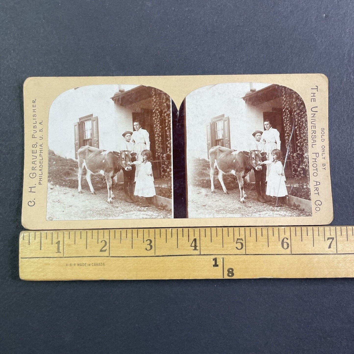 CH Graves Promotional Card Stereoview Universal Photo Art Co Antique c1899 X3181