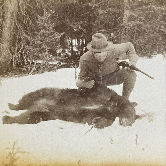 Antique 1904 Hunter Shoots A Black Bear In Wyoming Stereoview Photo Card P4820
