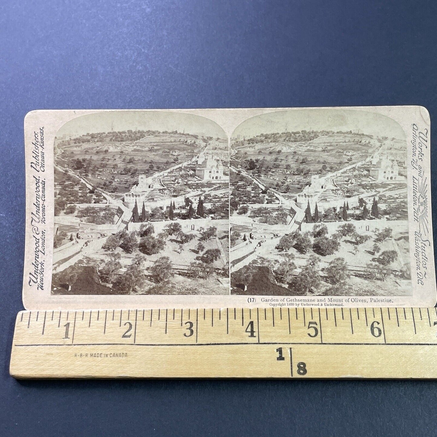 Antique 1899 Garden Of Gethsemane Jerusalem Israel Stereoview Photo Card P3907