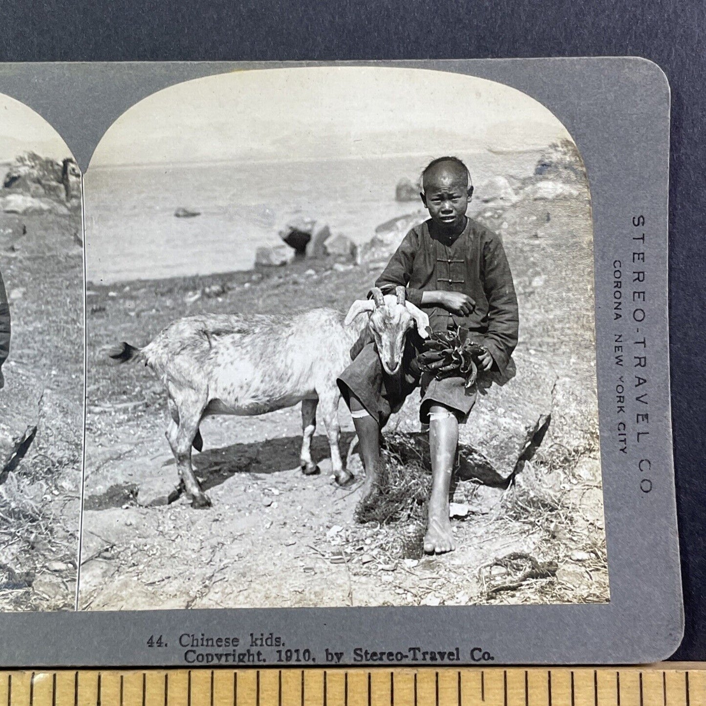 Traditional Chinese Farm Boy With A Goat Stereoview Antique c1910 X3104