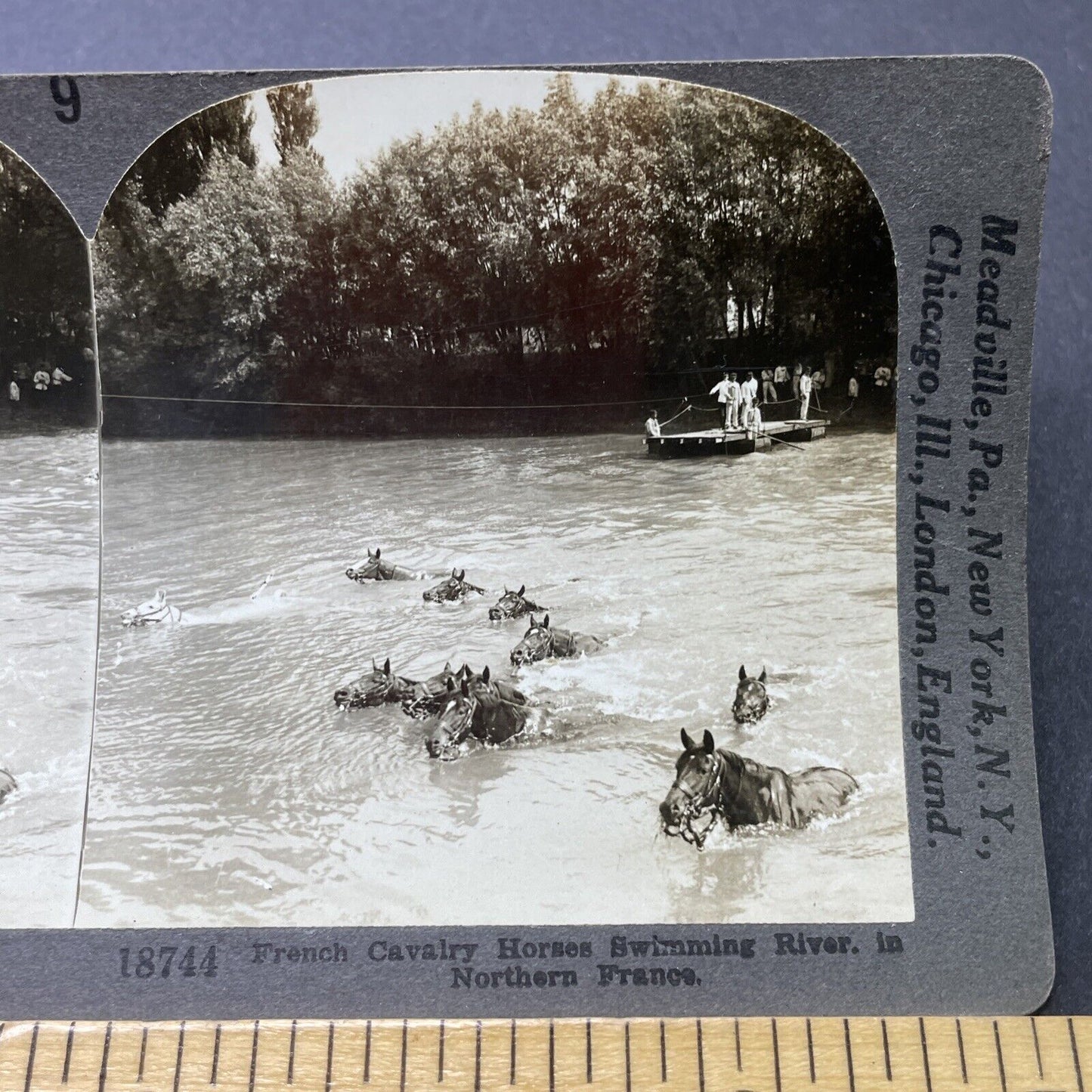 Antique 1916 French Cavalry Escapes Across River Stereoview Photo Card P2782