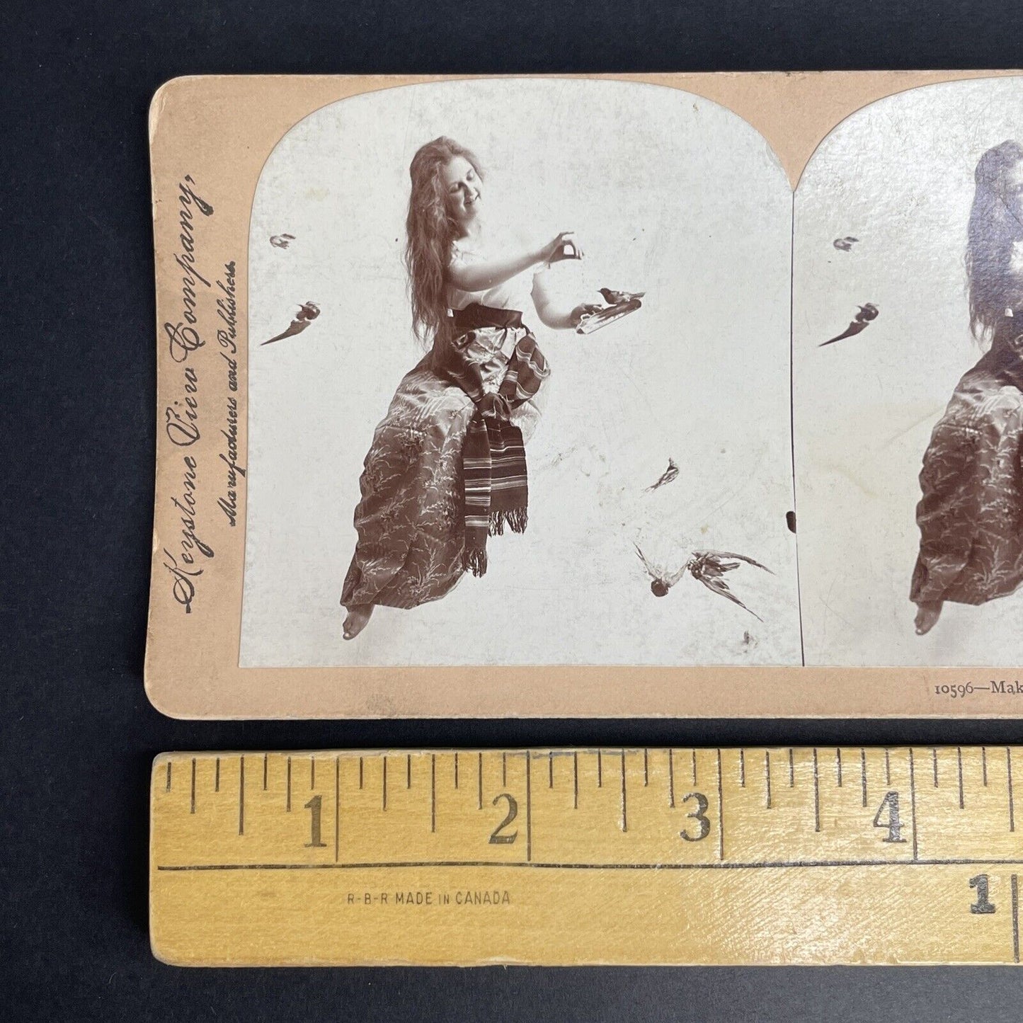 Antique 1900 Beauty Posing With Stuffed Birds Stereoview Photo Card PC784