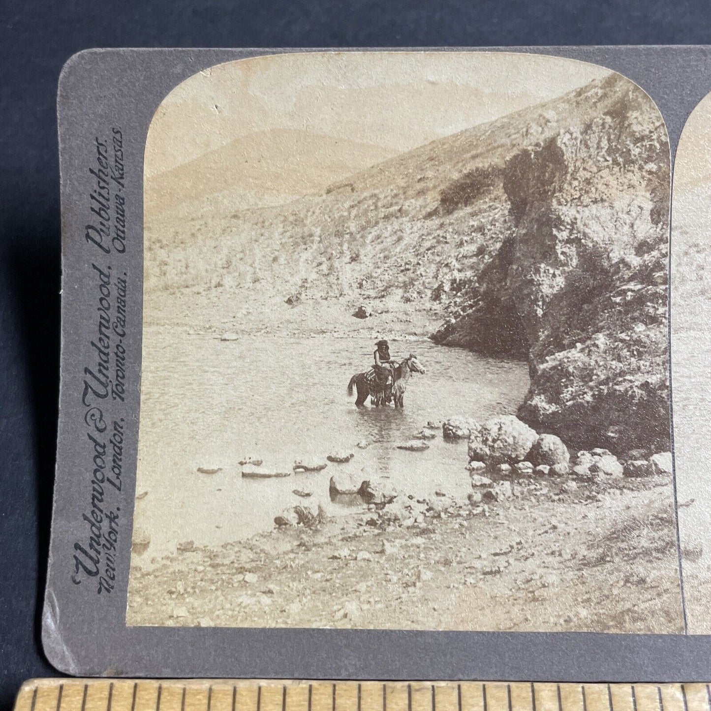 Antique 1900 A Hunter On Horseback In Water Stereoview Photo Card P4433