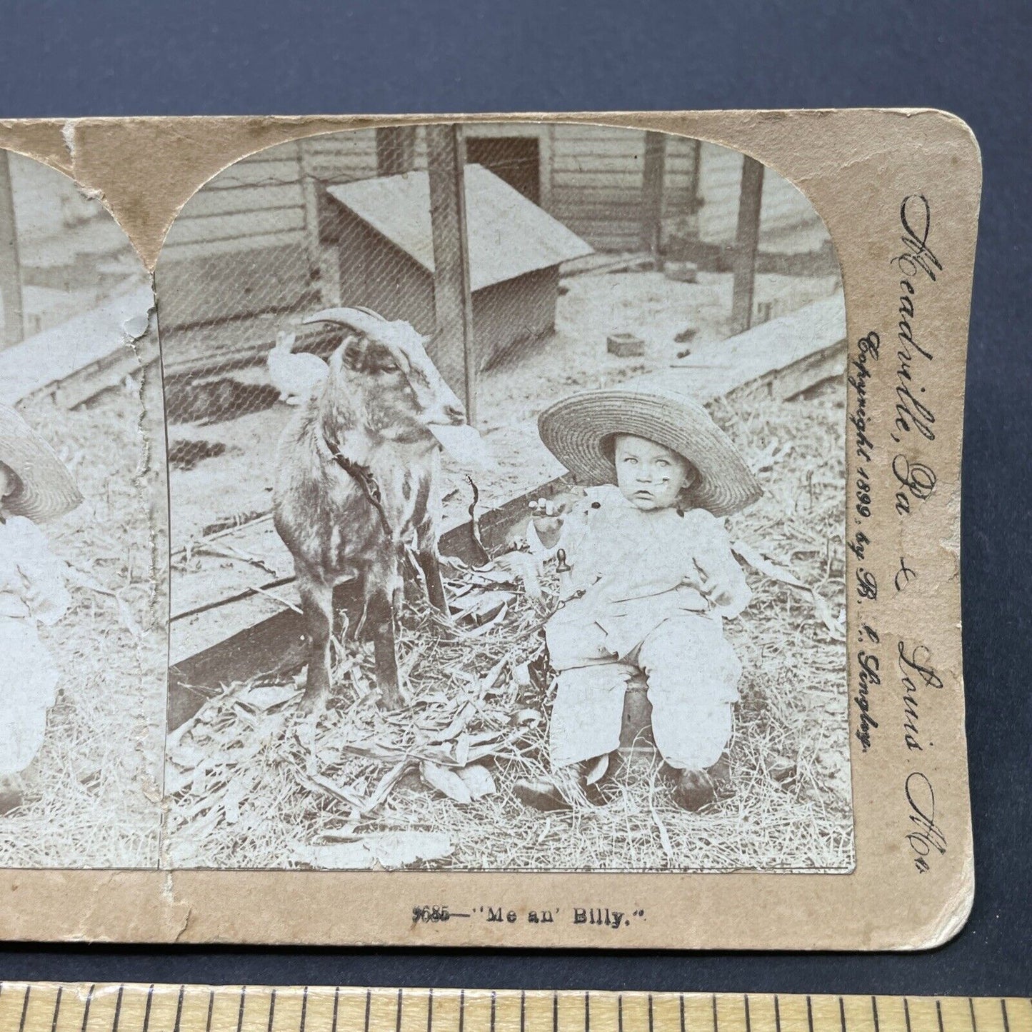 Antique 1899 Child Plays With Billy Goat Stereoview Photo Card P2600