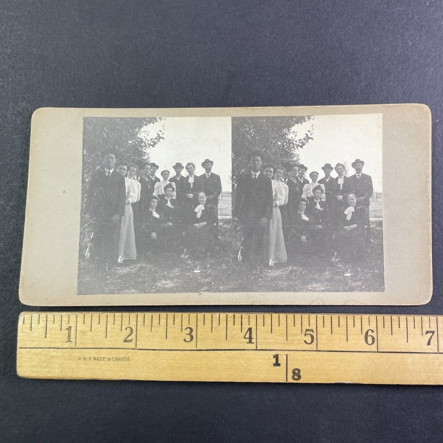 A Political Bunch Stereoview Ottawa? Canada? OOAK Antique c1908 Y2728