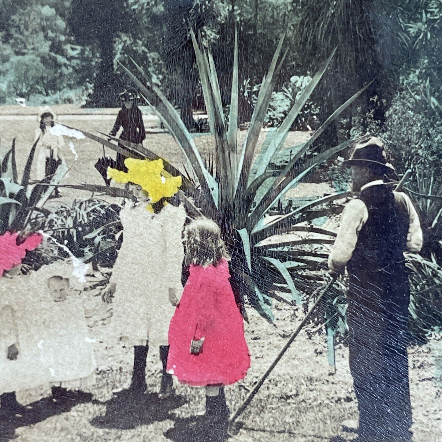 Antique 1903 Victorian Family In Melbourne Australia Stereoview Photo Card P3802