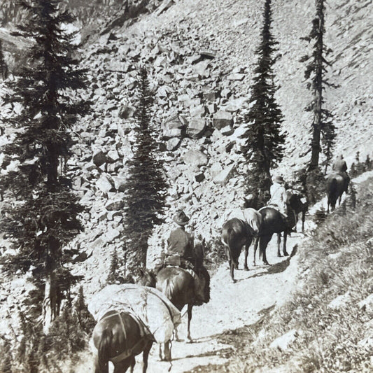 Antique 1890s Gold Prospectors West Glacier Montana Stereoview Photo Card P2370