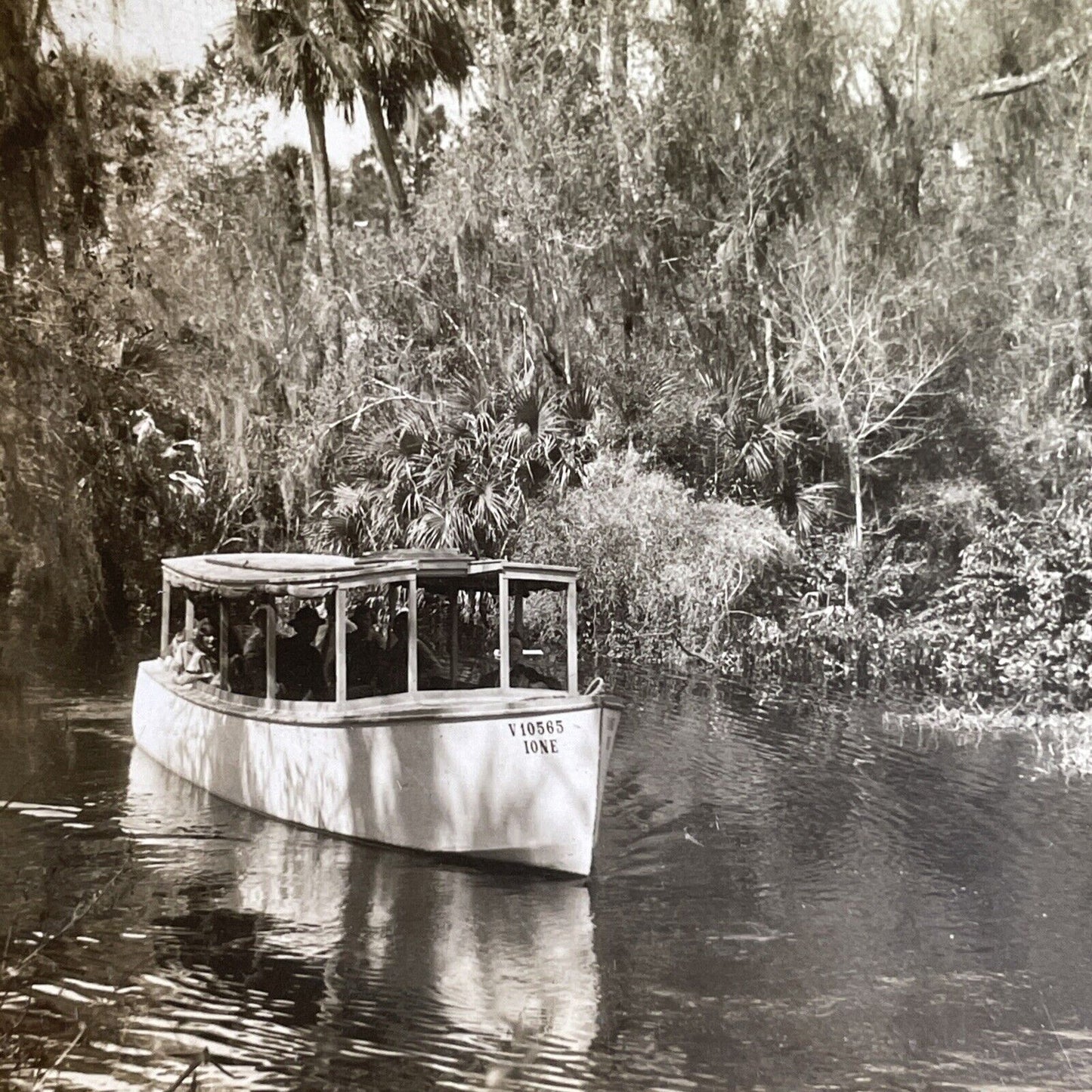 Antique 1920s Everglades Tour In Tarpon Springs FLA Stereoview Photo Card P1600