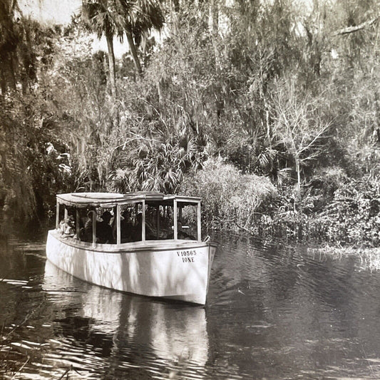 Antique 1920s Everglades Tour In Tarpon Springs FLA Stereoview Photo Card P1600