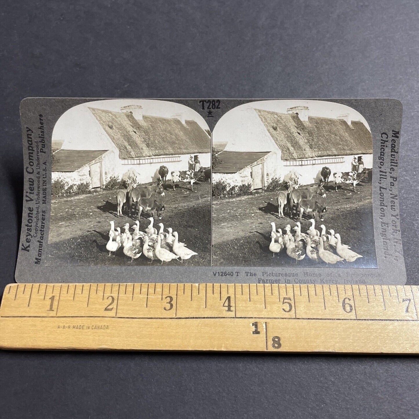 Antique 1910s Traditional Irish Farm Kerry Ireland Stereoview Photo Card P5109