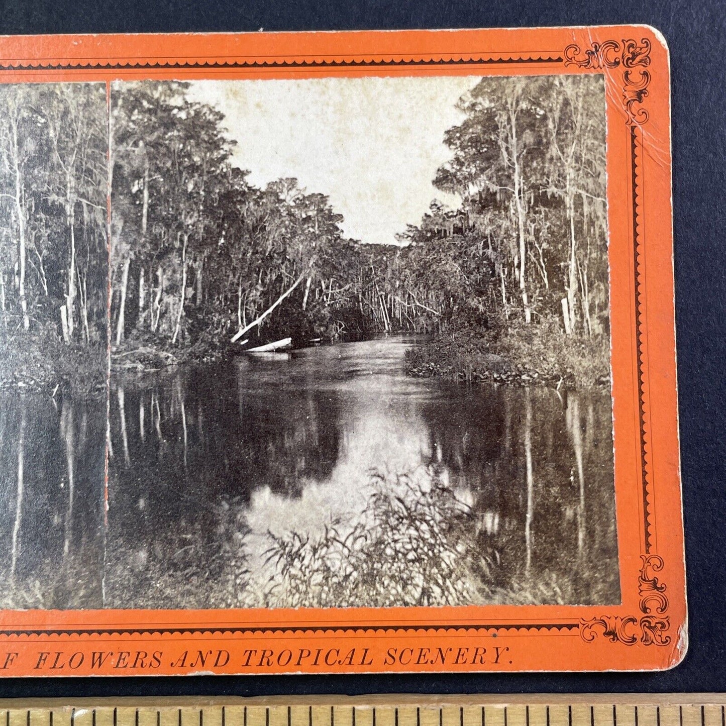 St. Johns River Devils Elbow Stereoview East Palatka Florida Antique c1870 Y065