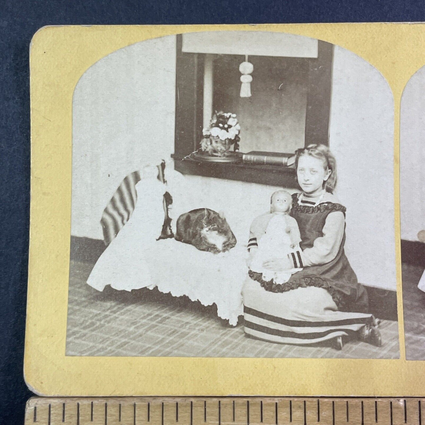 Child With Her Doll & Large Cat Stereoview Near Dumbwaiter Antique c1872 X1896