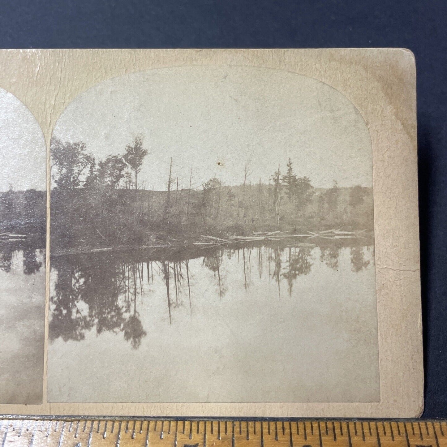 Antique 1903 Lake Placid The Great Forest Fire Of 03 Stereoview Photo Card Q2223