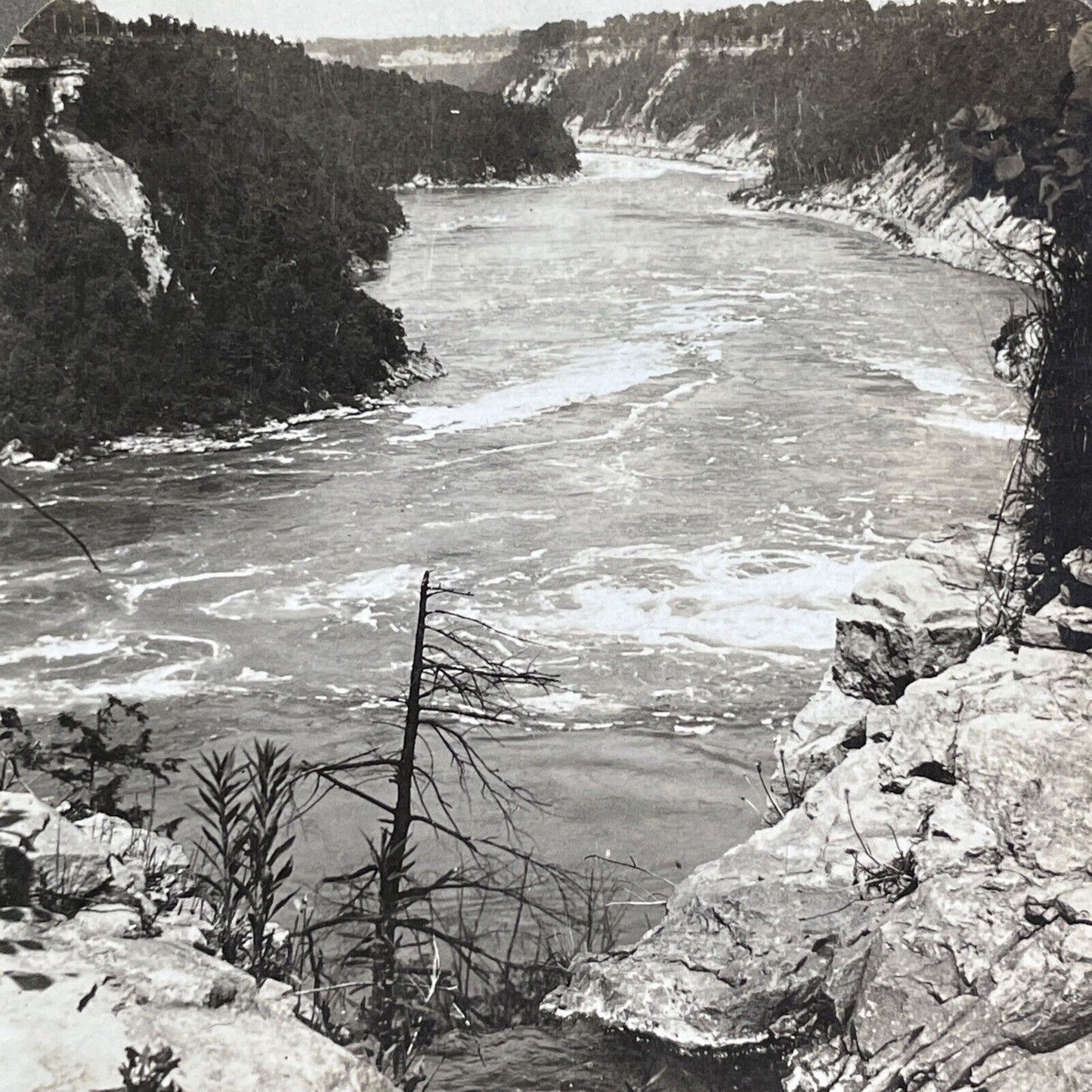 Niagara River towards Lewiston New York Stereoview C.L. Wasson c1904 Y3009