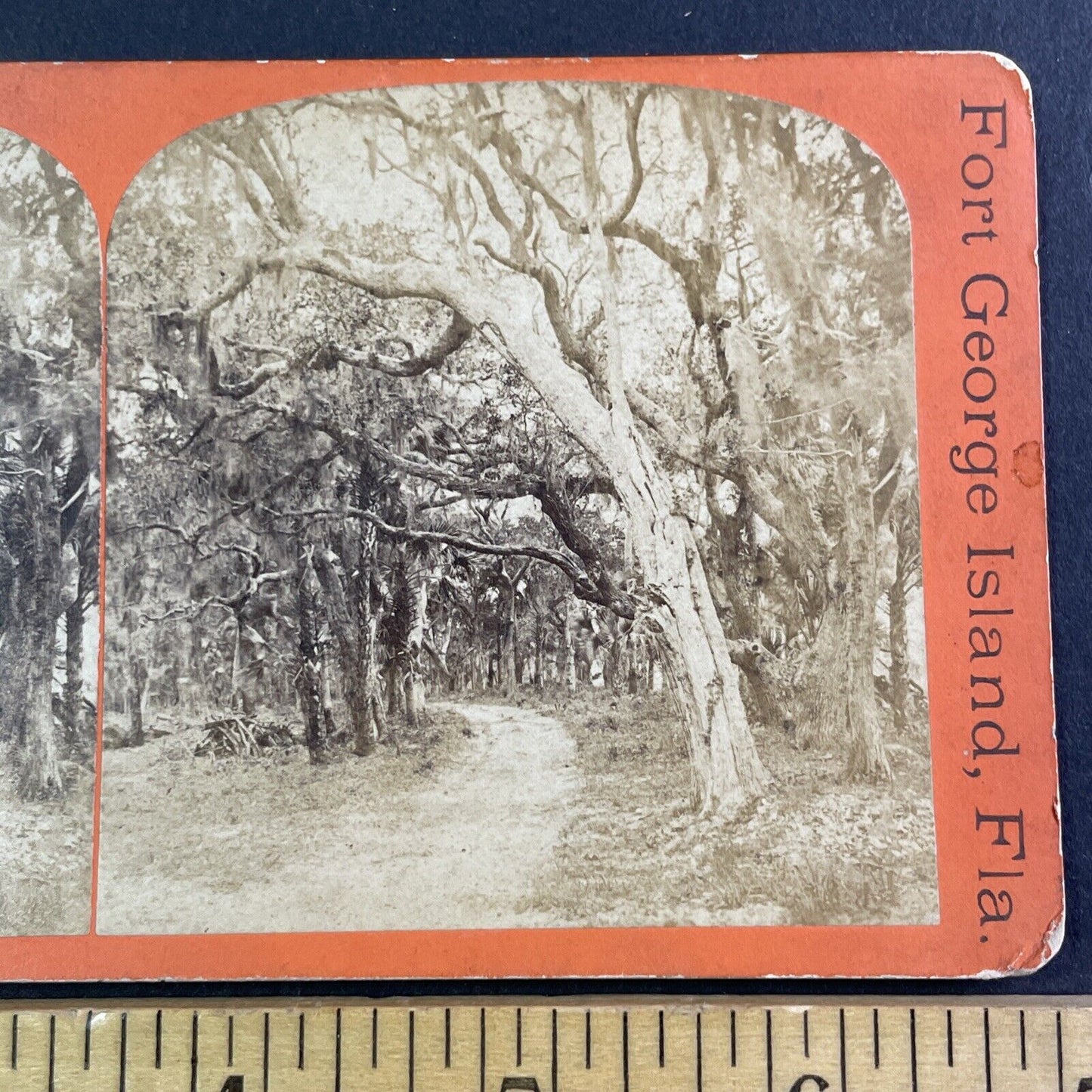 Fort George Island Florida Stereoview E&HT Anthony Antique c1867 X3722