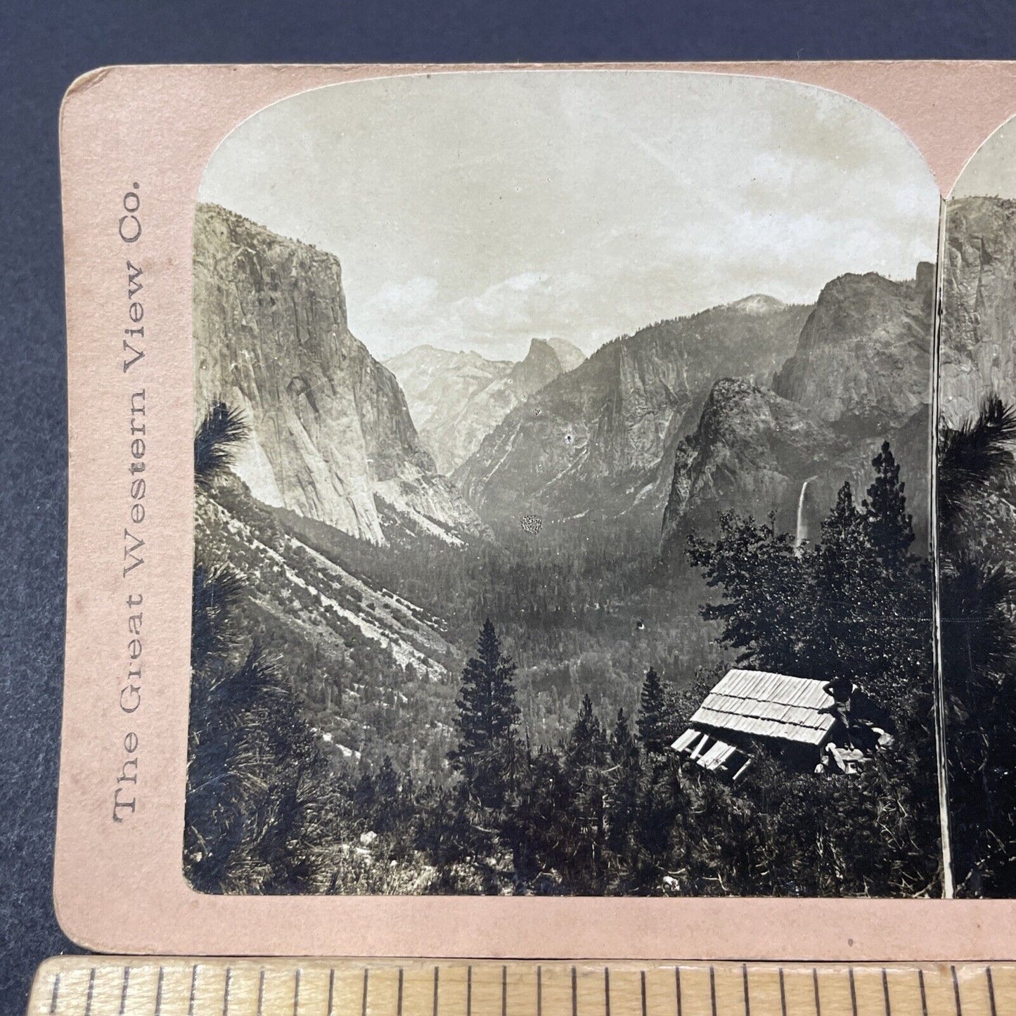 Antique 1880s John Muir In Yosemite California Stereoview Photo Card V2119