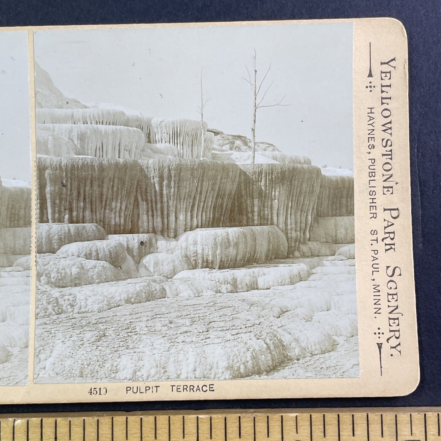 Pulpit Terrace Yellowstone WY Stereoview Frank Jay Haynes Antique c1882 X4081