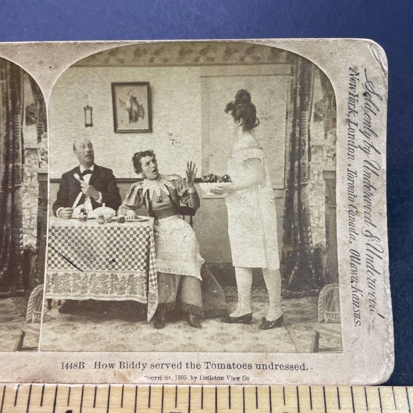 Antique 1895 Maid Woman In Underwear Slip Stereoview Photo Card P3509