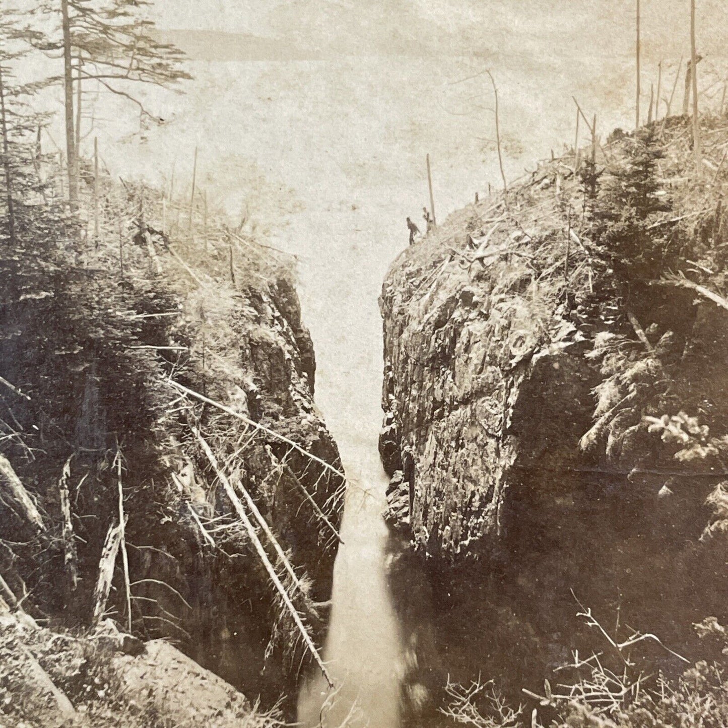 Porcupine Islands Cliffs Bar Harbor Maine Stereoview Rare Antique c1870s Y167