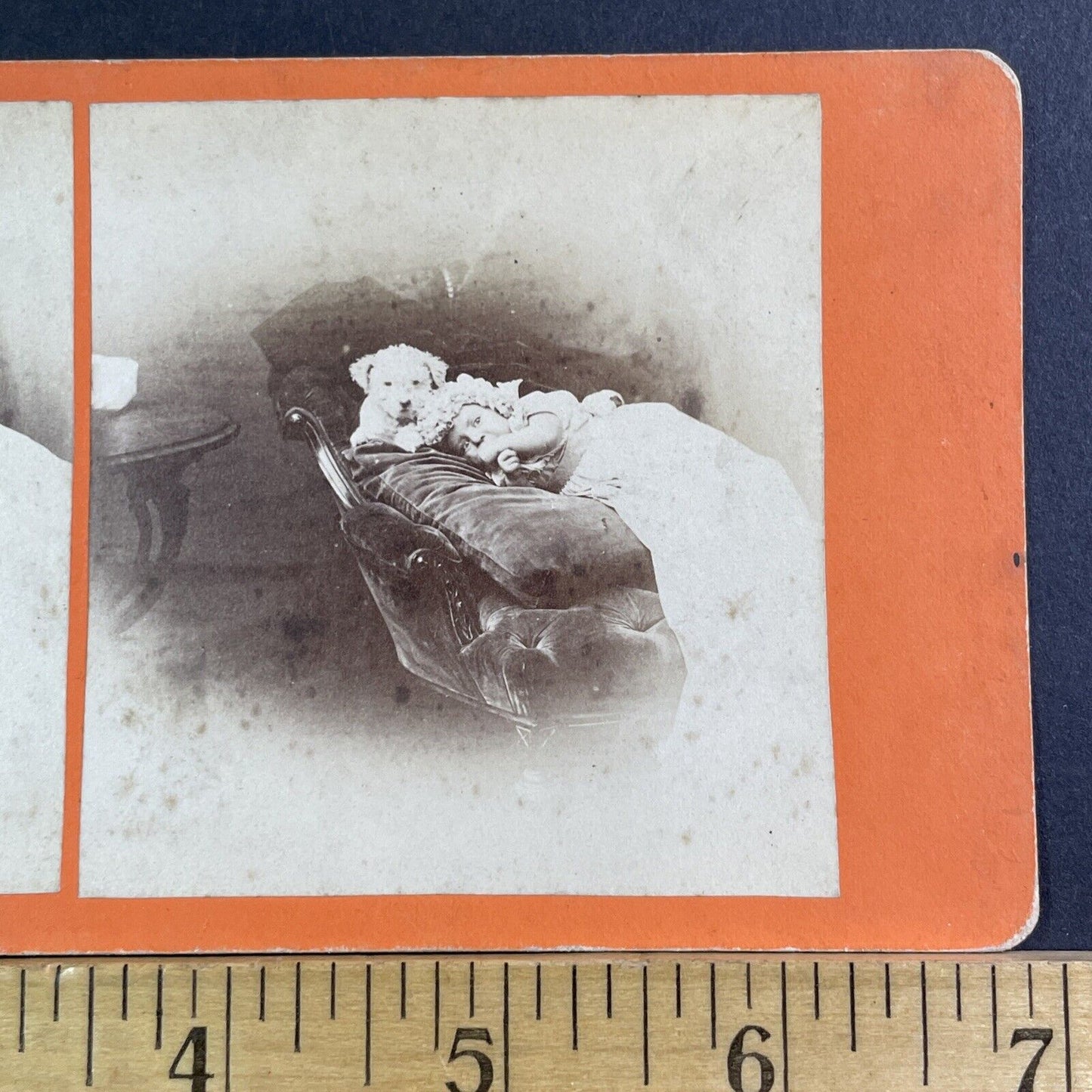 A Baby Laying Beside A Shaggy Dog Stereoview Photo Card Antique c1865 X1550