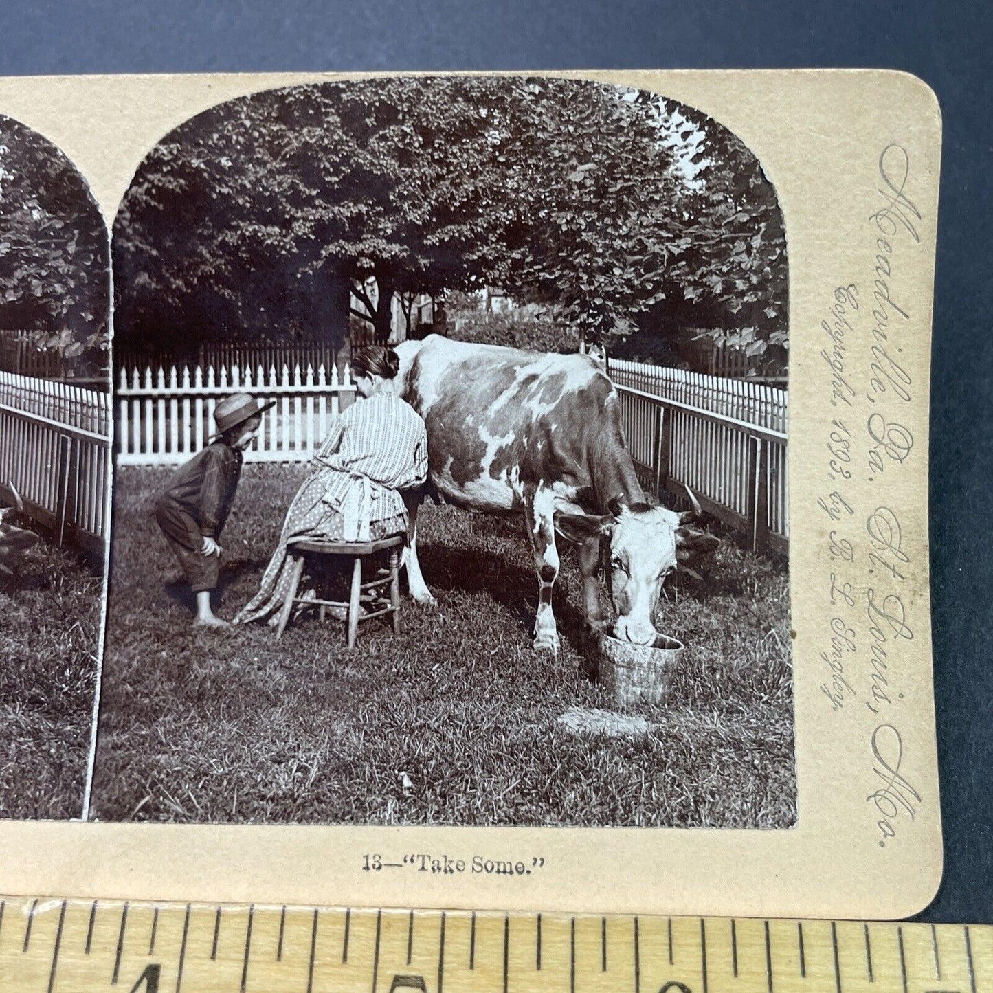 Antique 1893 Woman Squirts Milk Onto Boy's Face Stereoview Photo Card P3121
