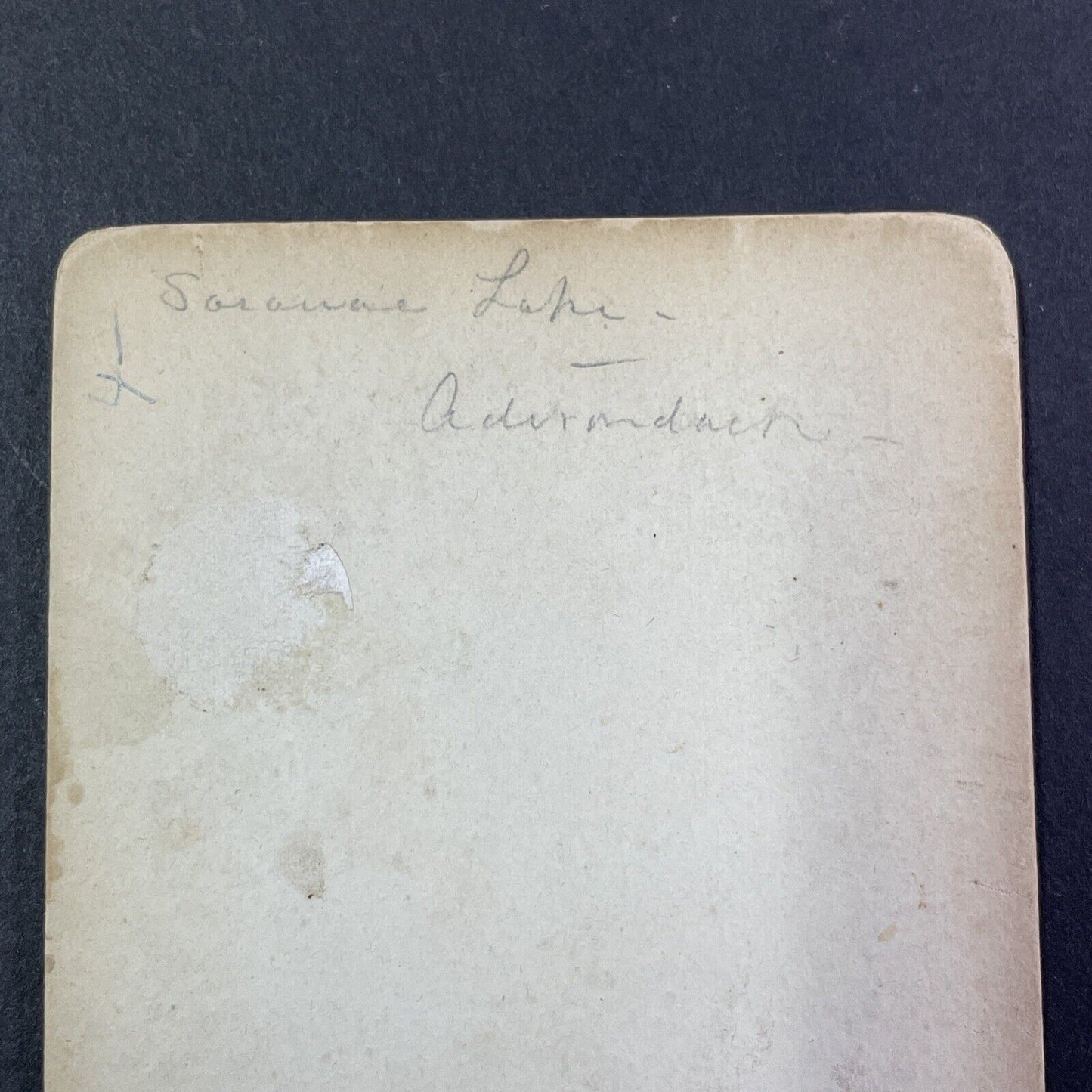 Lake Saranac Forest Fire Disaster Stereoview Photo Card Antique 1903 X842