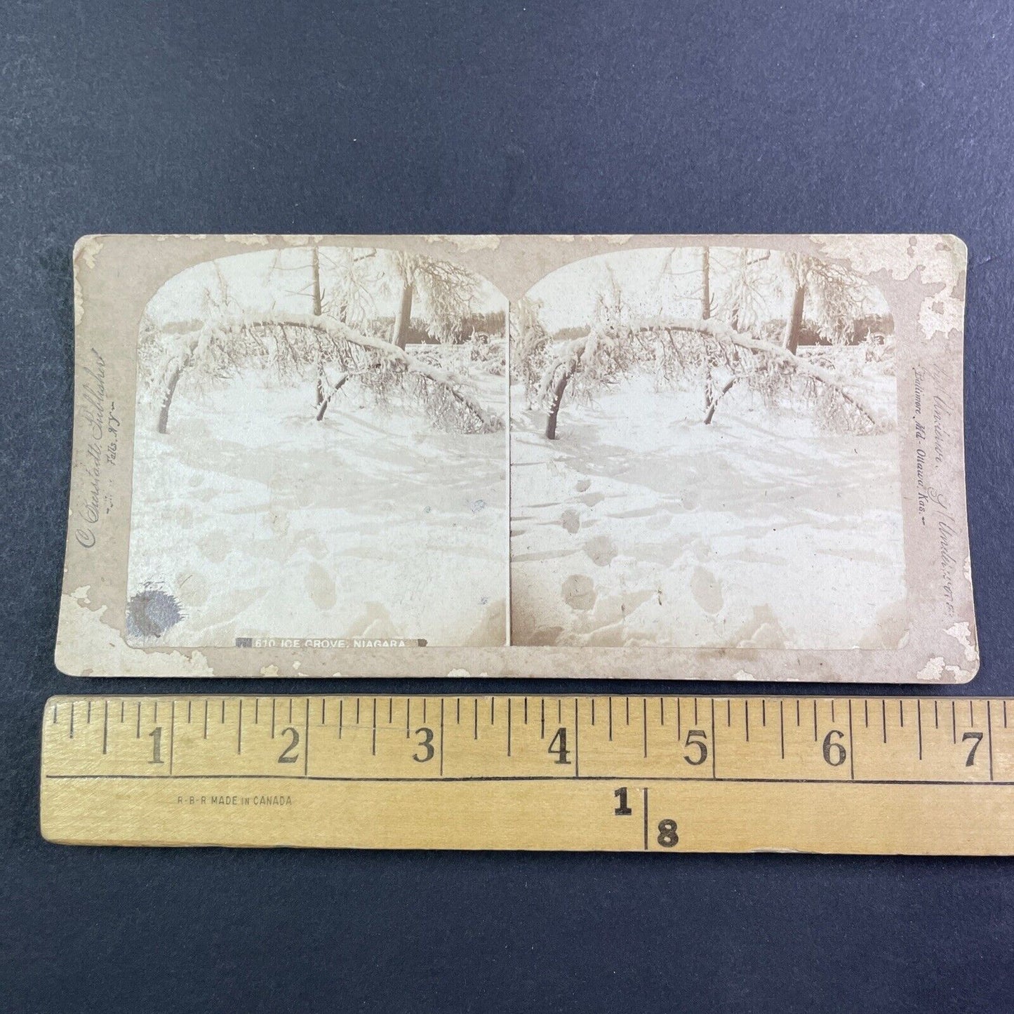 Frozen Ice Grove Luna Island Stereoview Charles Bierstadt Antique c1880 Y2758