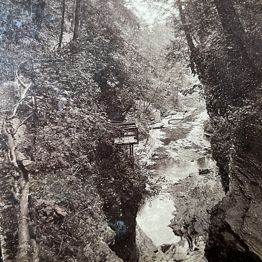 Antique 1860s Watkin's Glen Gorge Ravine New York Stereoview Photo Card V1799