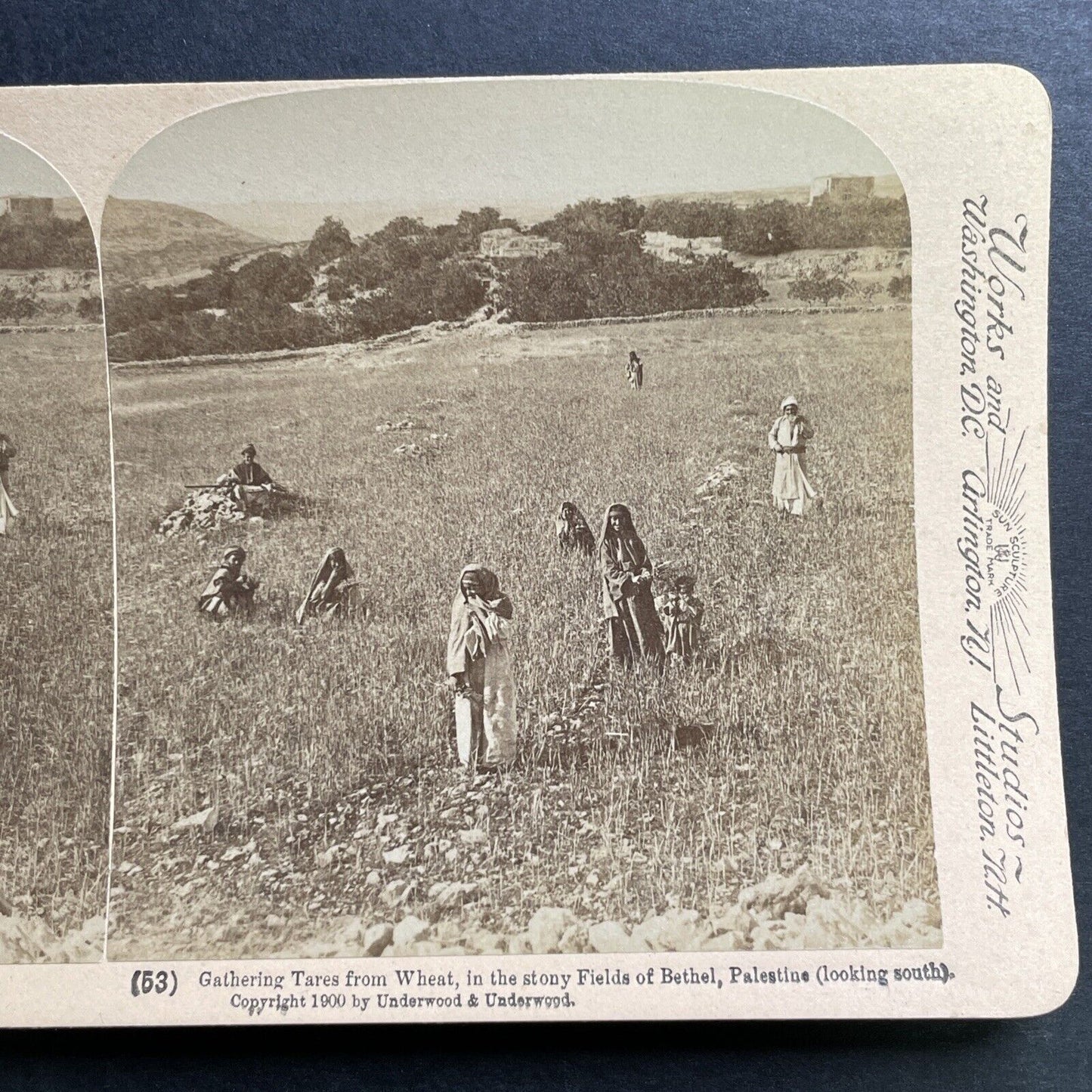 Antique 1900 Village Of Bethel Israel Palestine Stereoview Photo Card P1383