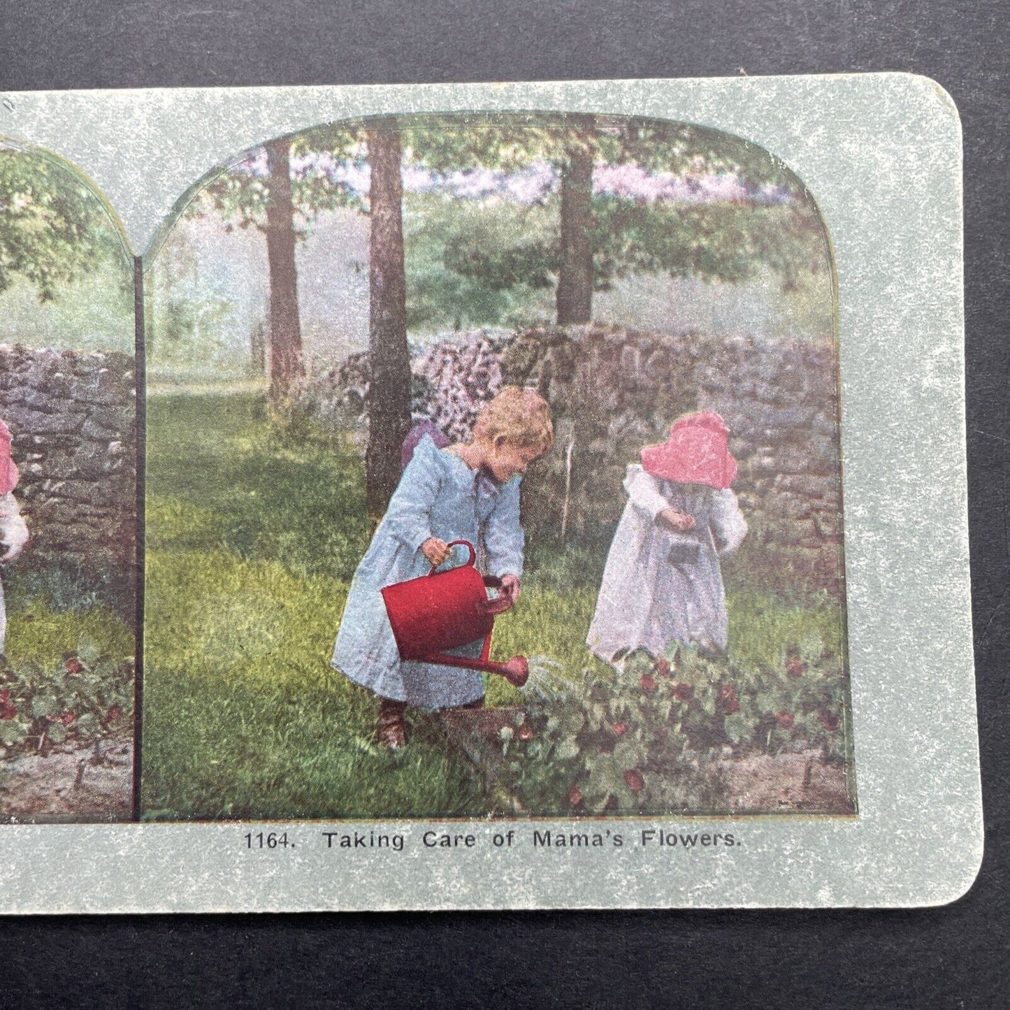 Antique 1898 Children Gardening Watering Flowers Stereoview Photo Card P580-013