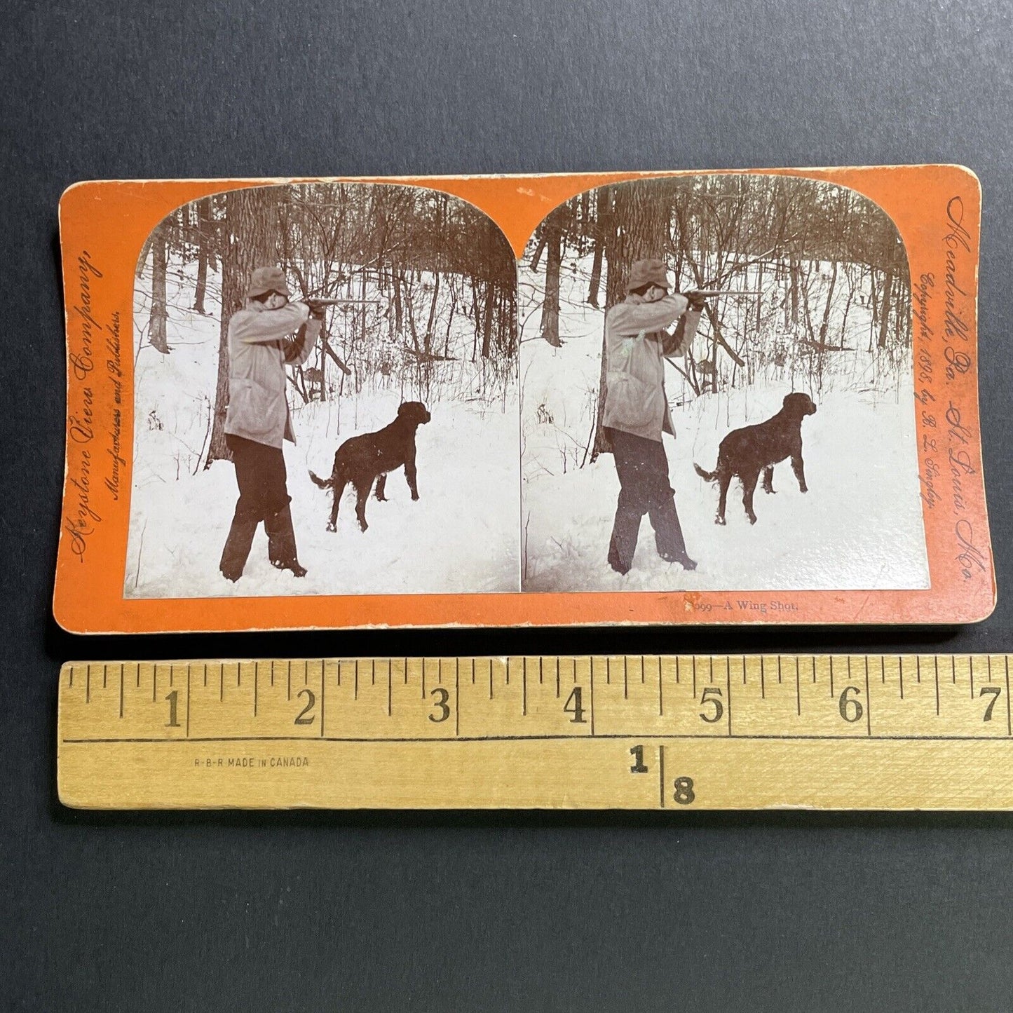 Antique 1898 Hunter And Hunting Dog Meadville Penn Stereoview Photo Card P1657