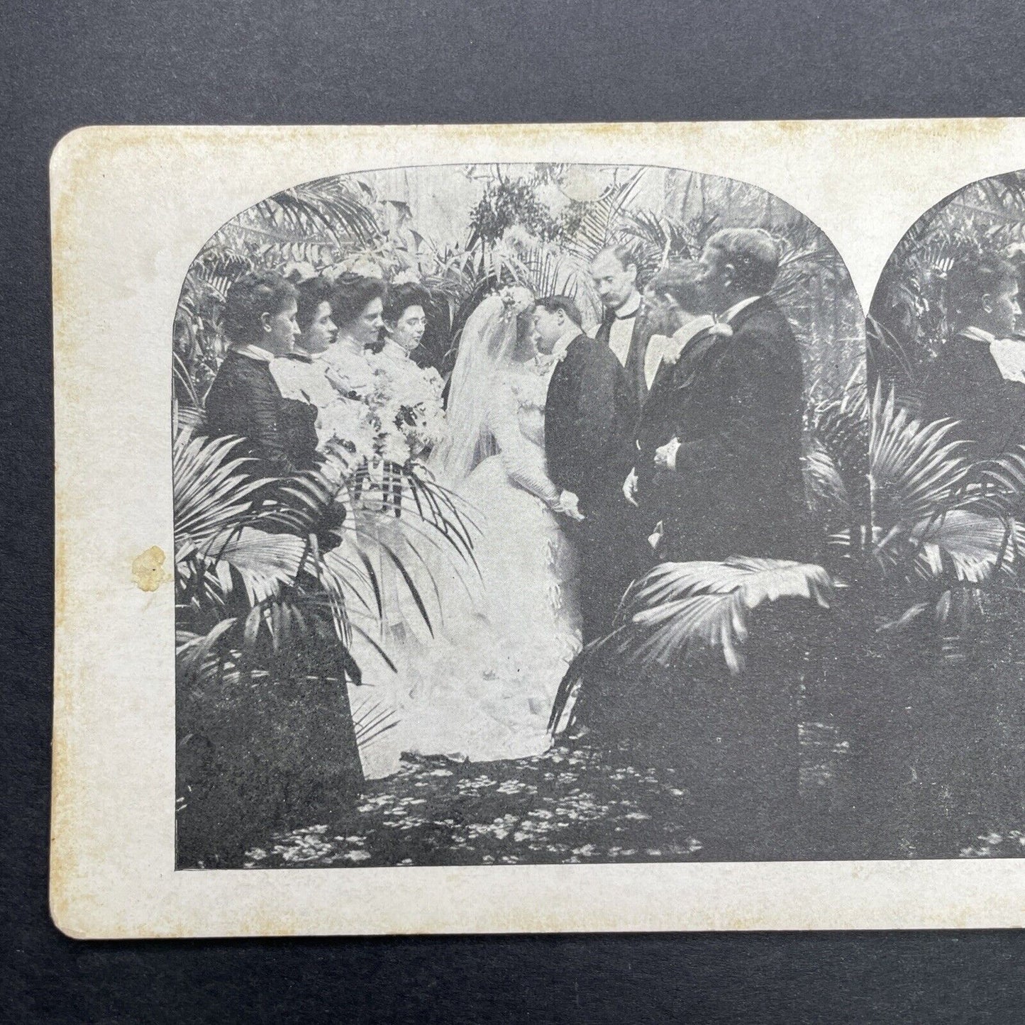 Antique 1905 Bride And Groom Kiss At Wedding Stereoview Photo Card P580-021