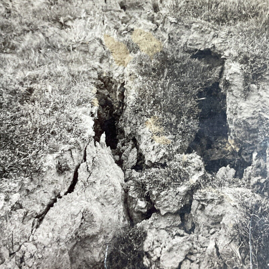 Antique 1910s Earthquake Crack Berkeley California Stereoview Photo Card P3570