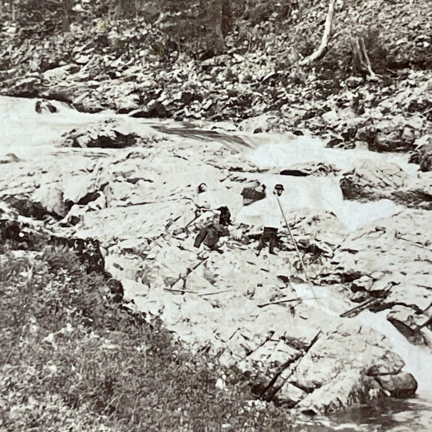 Kumir River Altai Siberia Russia Stereoview IR Tomashkevich Antique c1896 X2622