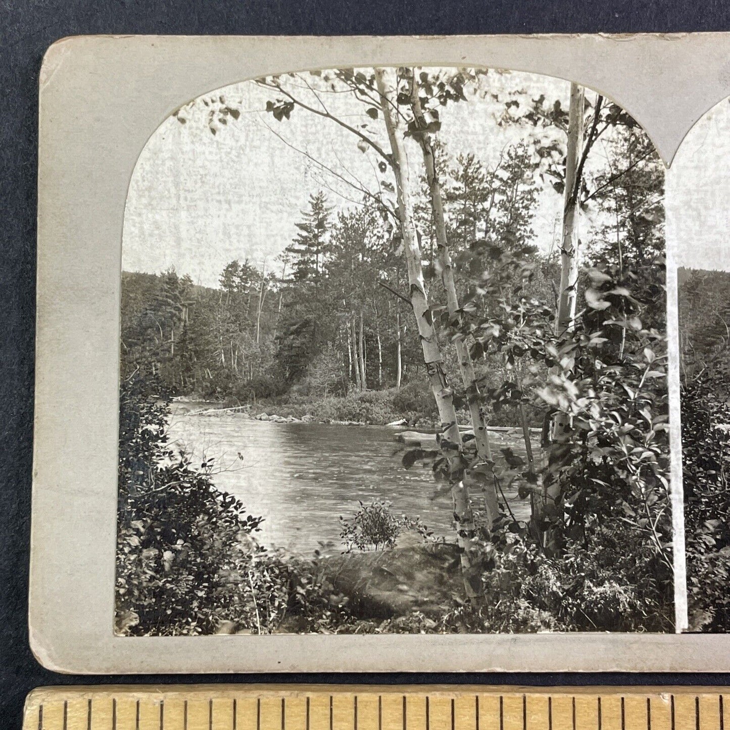 Lot of 3 Bass Lake Village California Stereoviews Camping Antique c1910s X3892