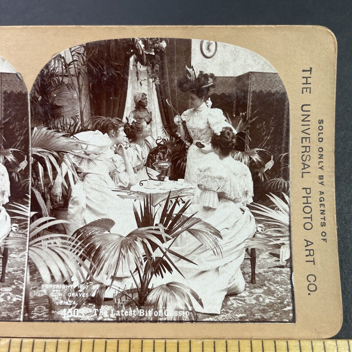 Antique 1897 Women Have Formal Tea Time Stereoview Photo Card P3358