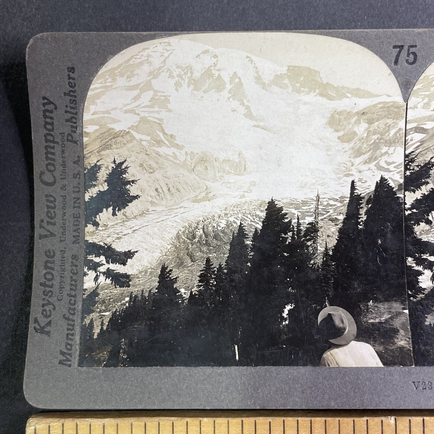 Mount Rainier Glacier Washington State Stereoview Antique c1909 Y1175