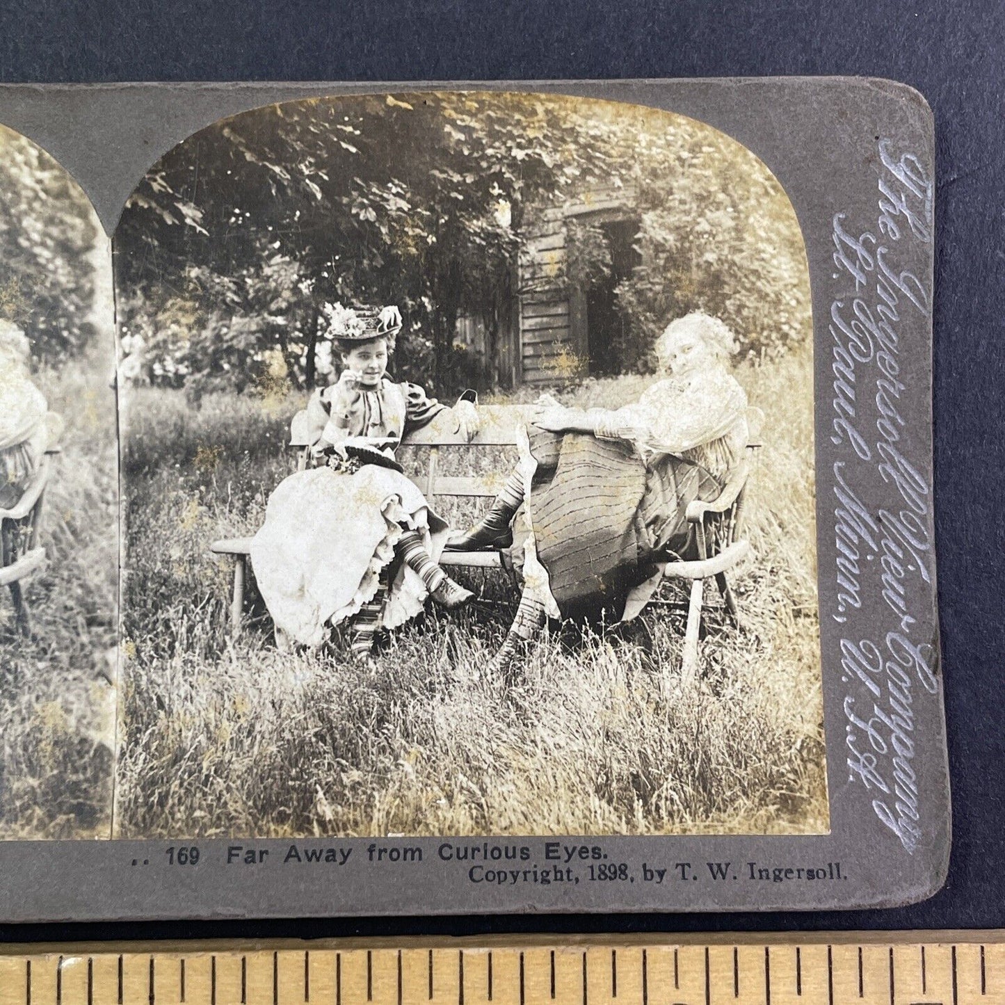 Flirting Women Far Away From Curious Eyes Stereoview T.W. Ingersoll c1898 Y1369