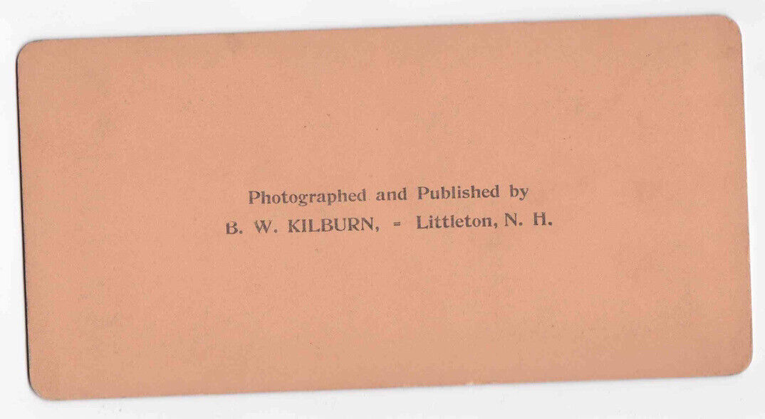 Antique 1893 Chicago Columbian Exposition Florida Exhibit Photo Card P046