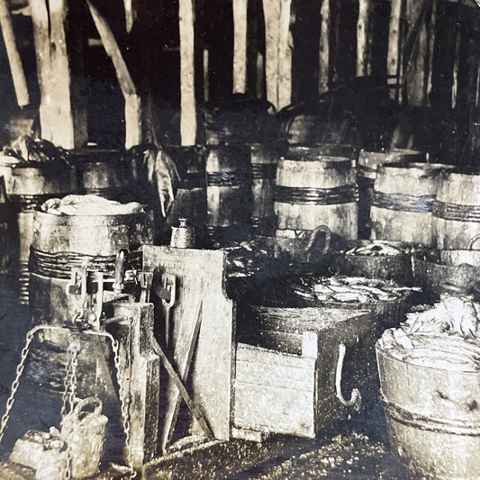 Antique 1907 Fish Salting Factory In Norway Stereoview Photo Card P5172