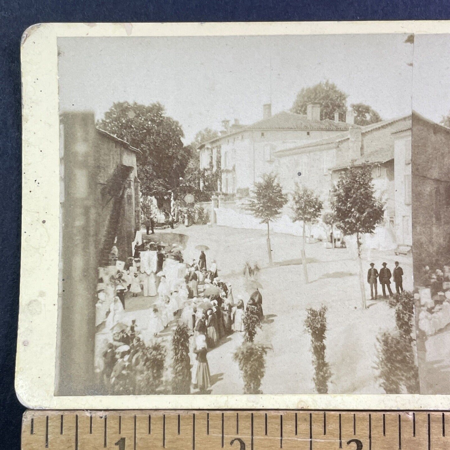 Funeral Procession For Maxence de Grassin Stereoview Antique c1876 X2481