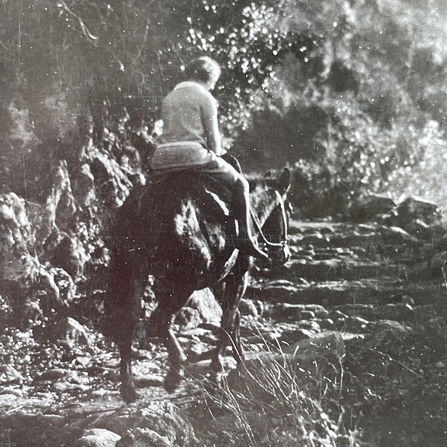 Antique 1925 Horseback Riding Lake Nemi Italy OOAK Stereoview Photo Card P3266