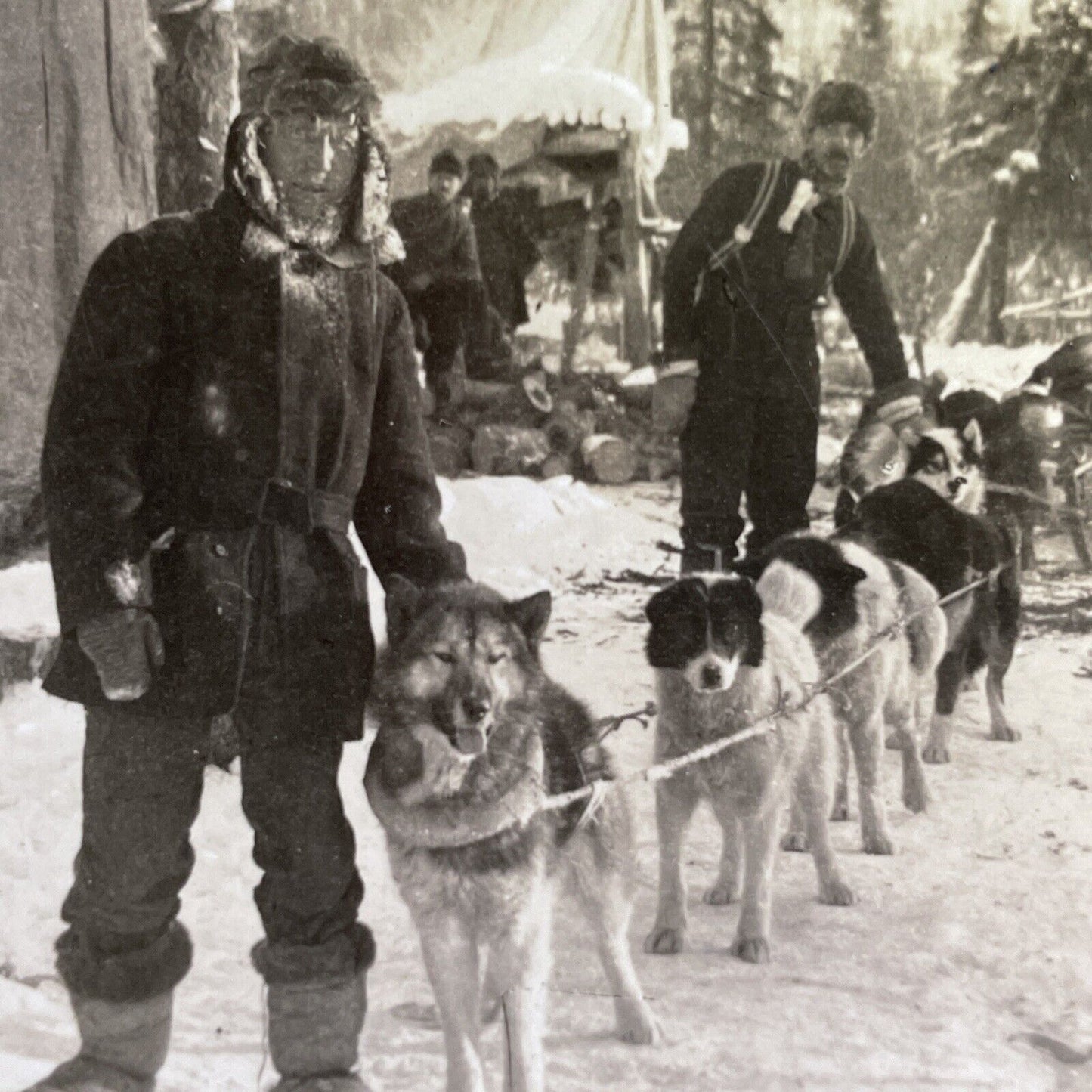 Antique 1909 Dogsledding In Northern Alaska Stereoview Photo Card P1489