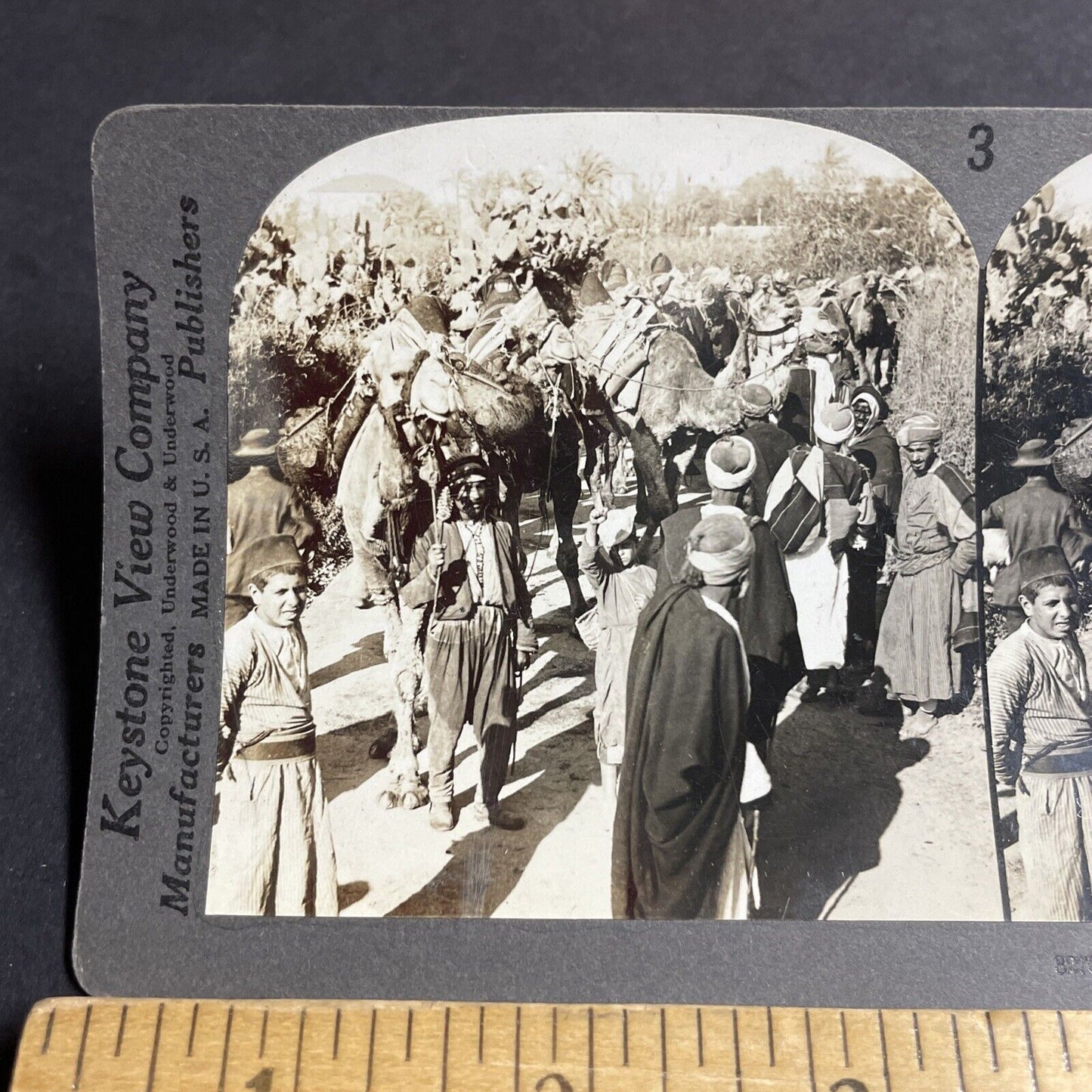 Antique 1910s Desert Warriors On Camels In Israel Stereoview Photo Card P4408