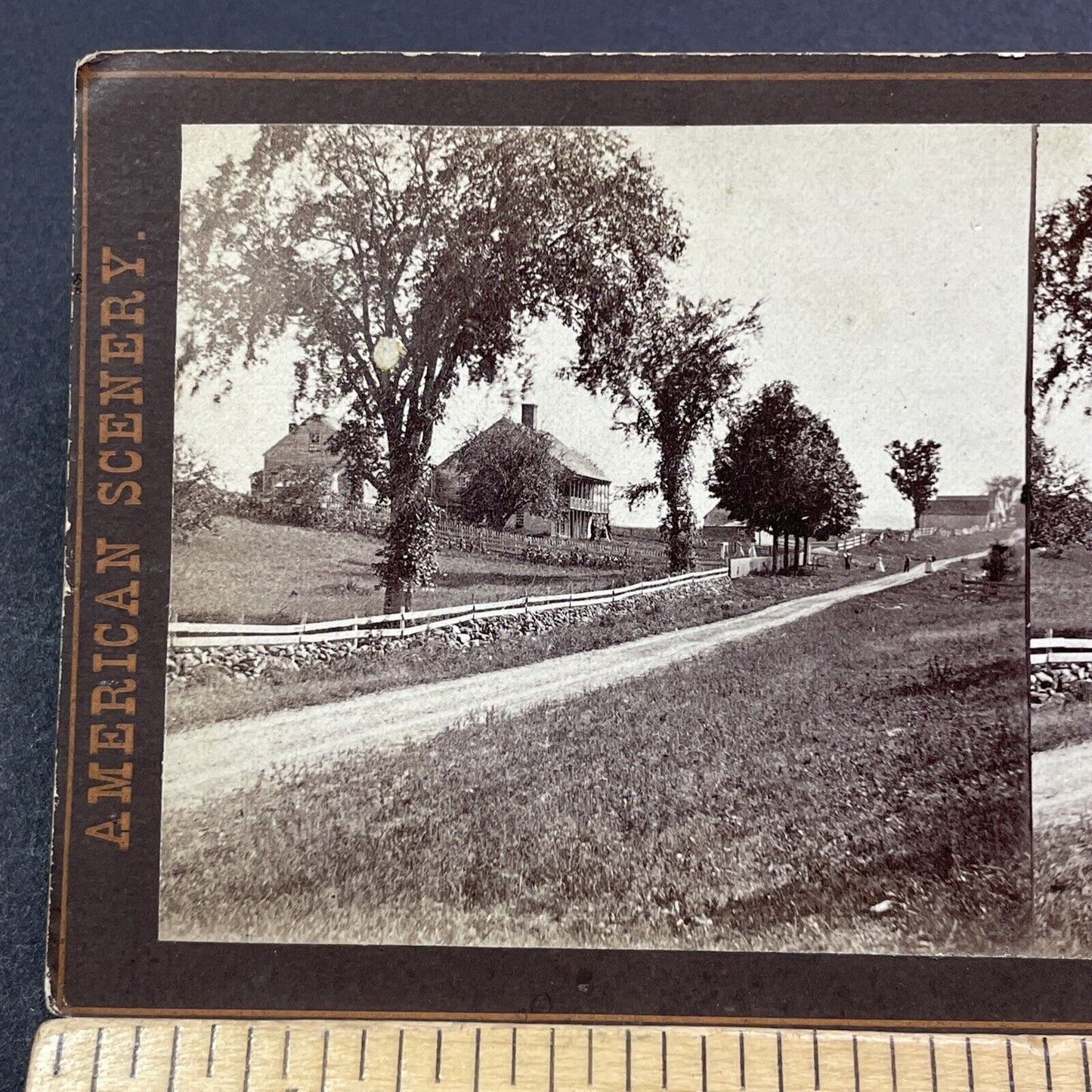 Antique 1870s Wentworth New Hampshire Town View Stereoview Photo Card V1929