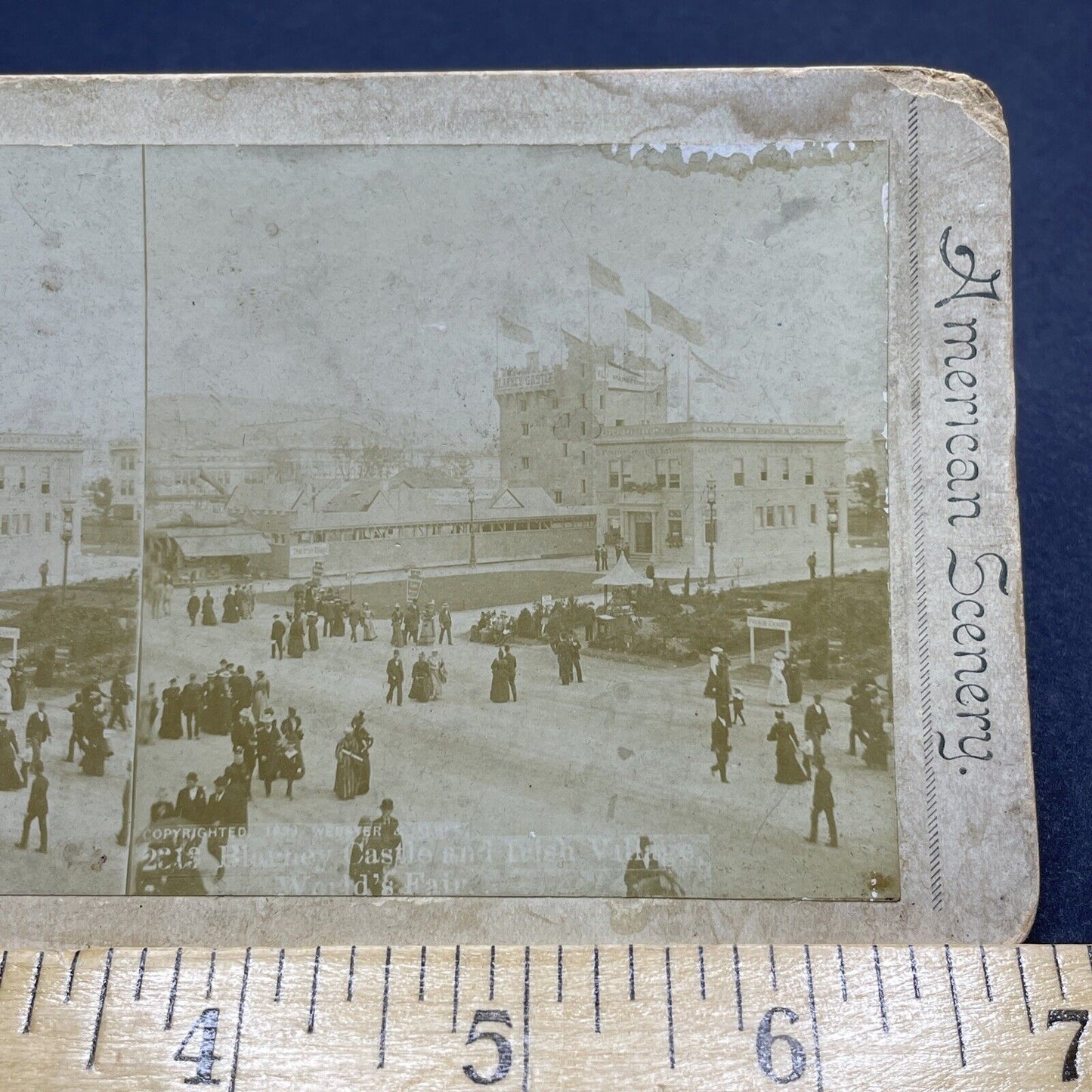 Antique 1893 Irish Village Chicago Illinois Stereoview Photo Card P1891