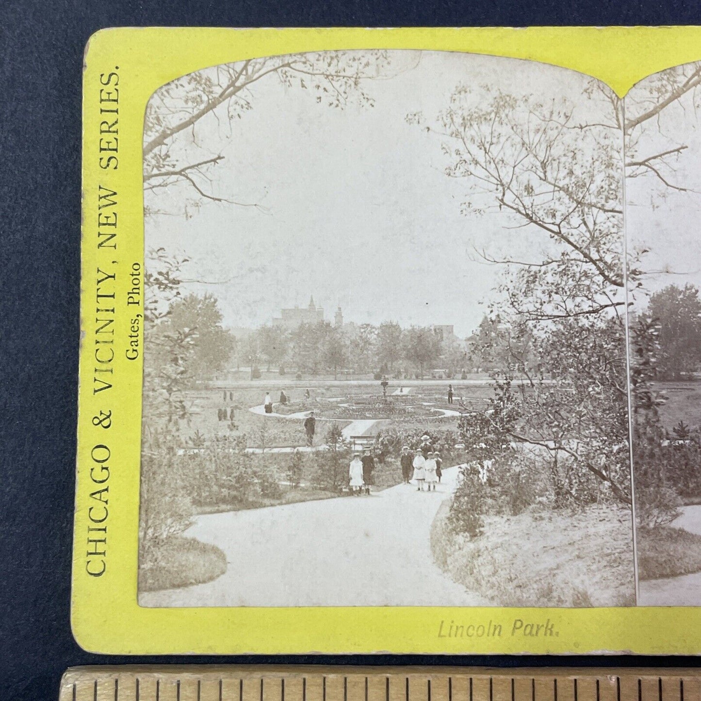 Lincoln Park Chicago Illinois Stereoview E. Lovejoy Antique c1880 Y1812