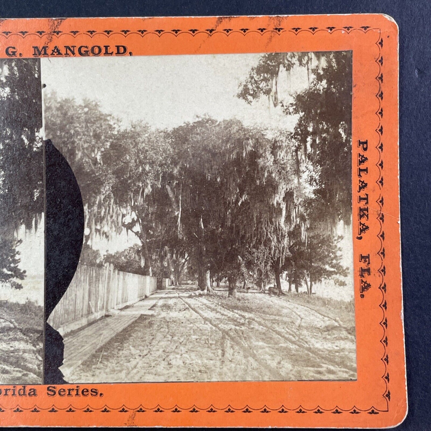 River Street Palatka Florida Stereoview J.G. Mangold Antique c1878 Y091