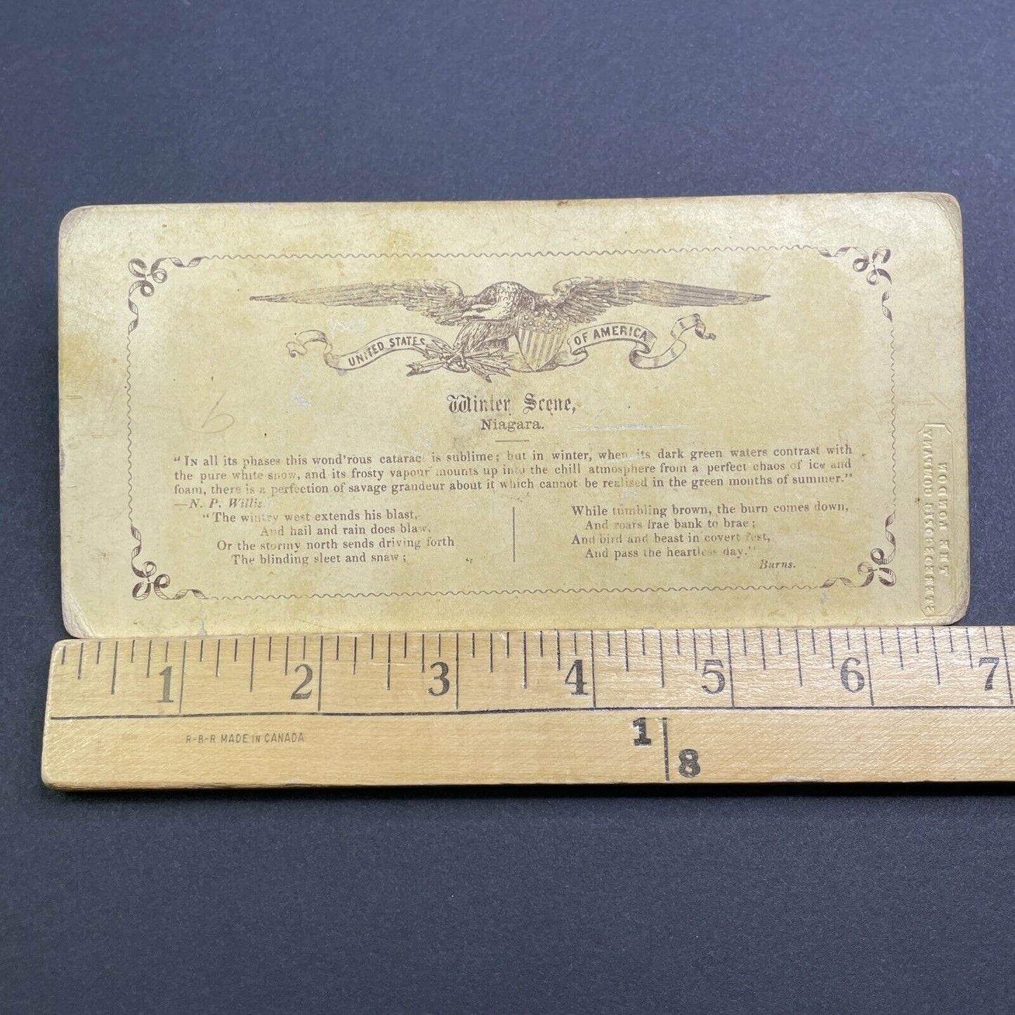 Antique c1859 Niagara Falls Gorge Trail New York Stereoview Photo Card V471